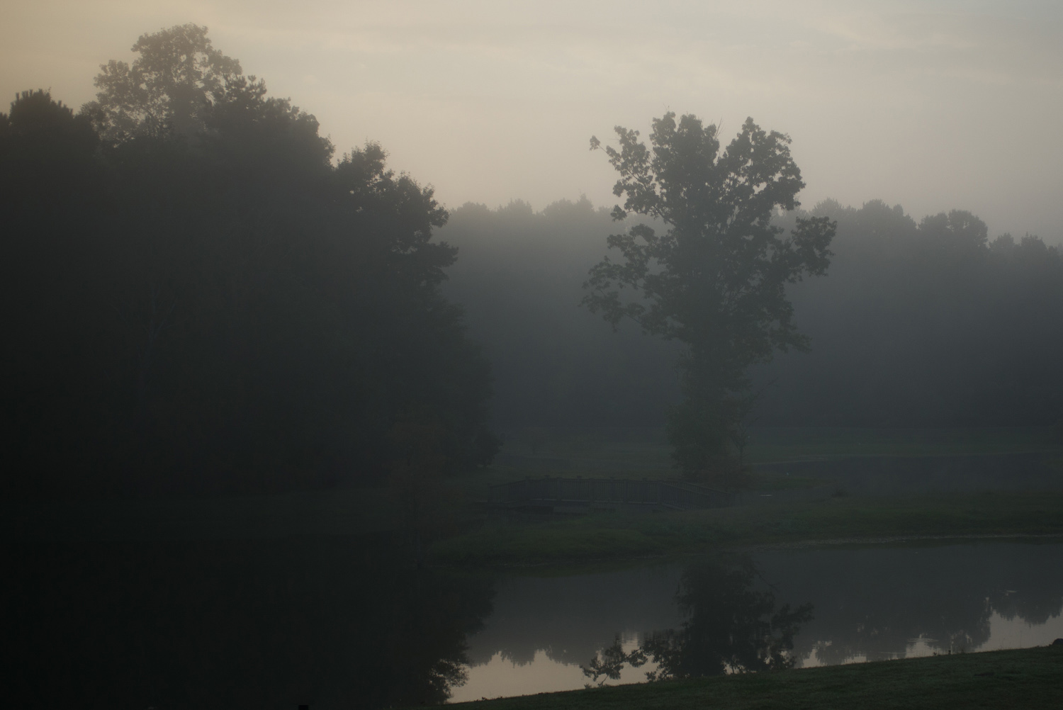 morning fog
