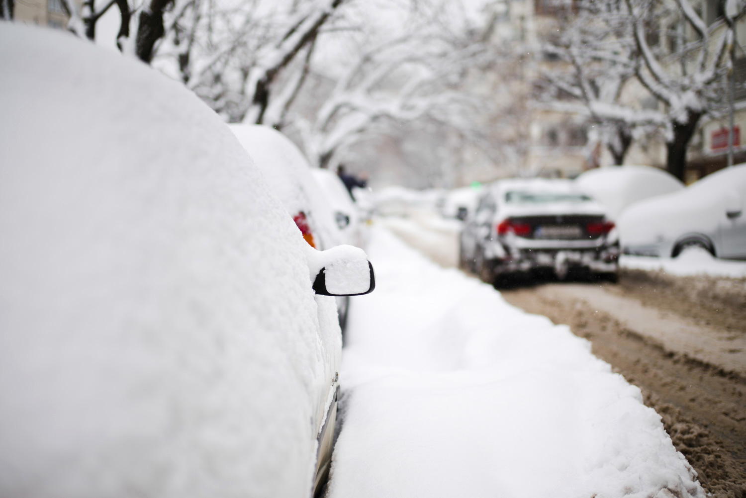 Cars covered in snow