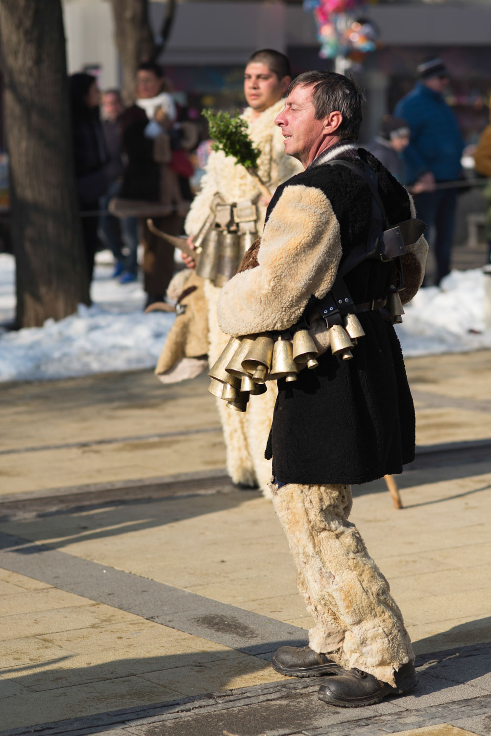 Surva, Pernik 2018