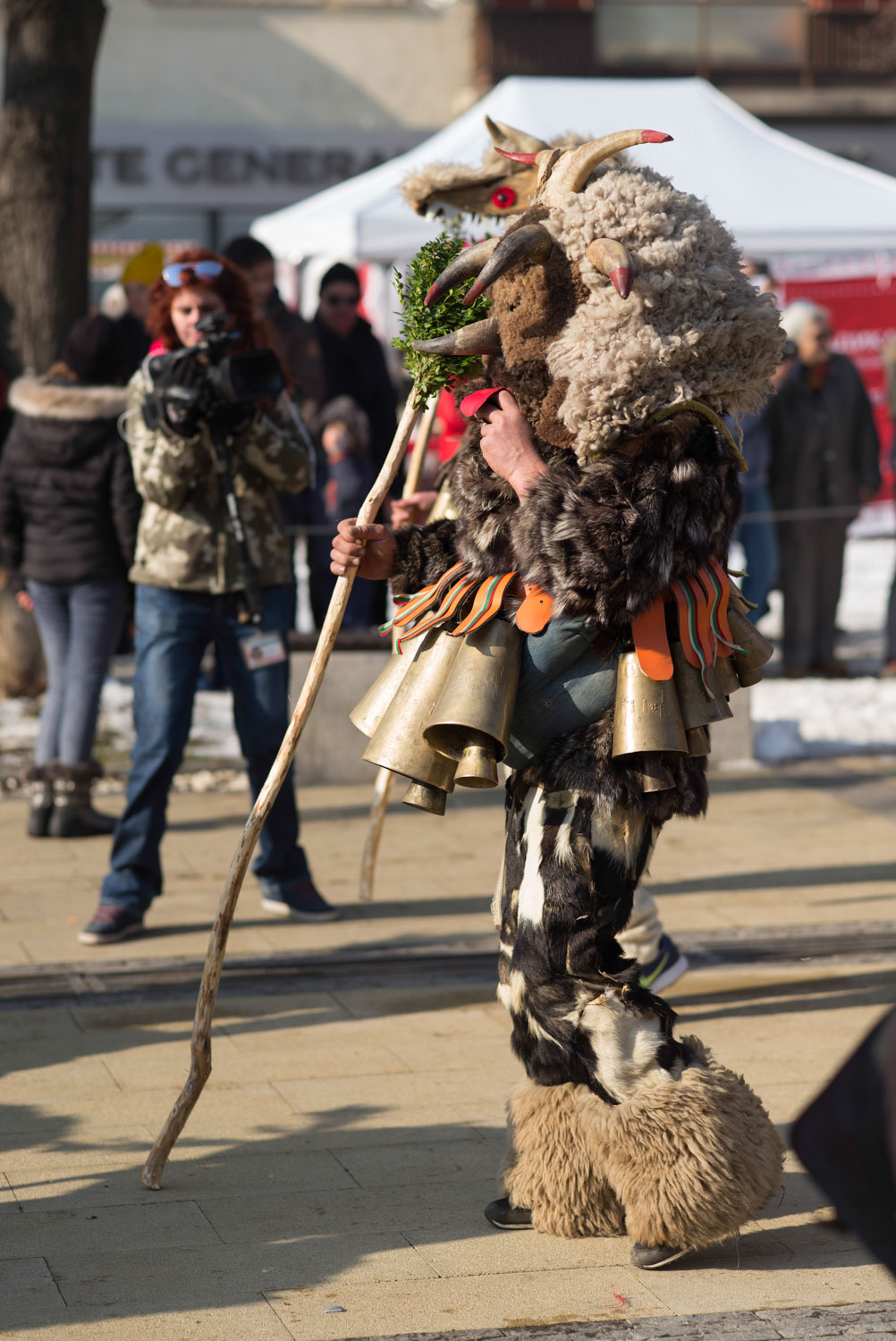 Surva, Pernik 2018