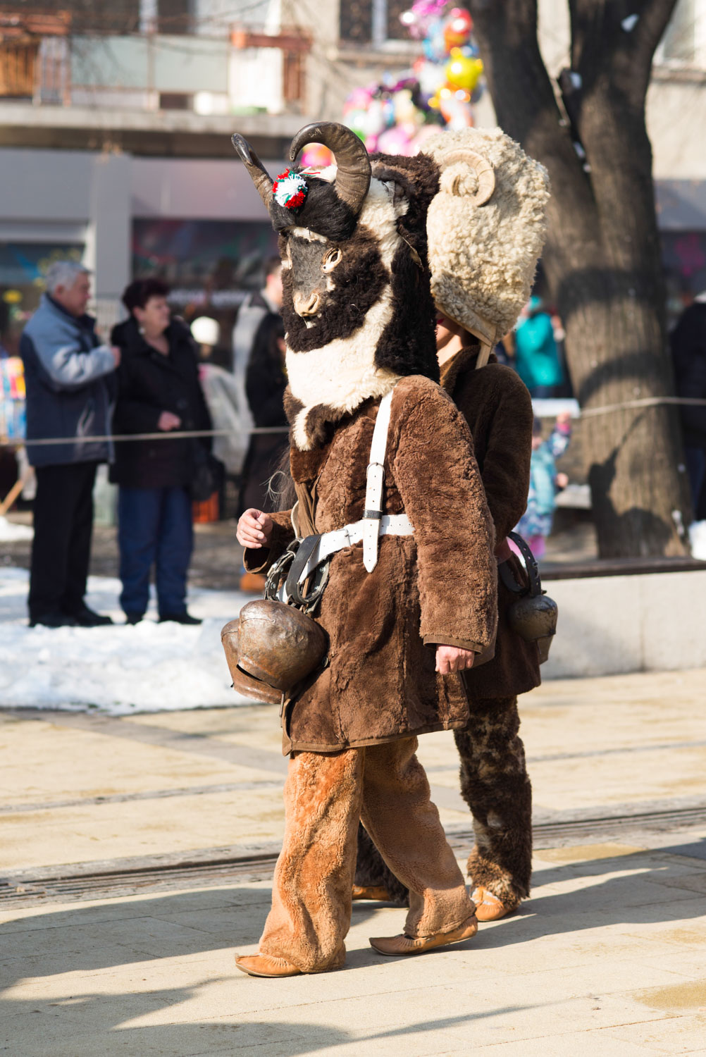 Surva, Pernik 2018