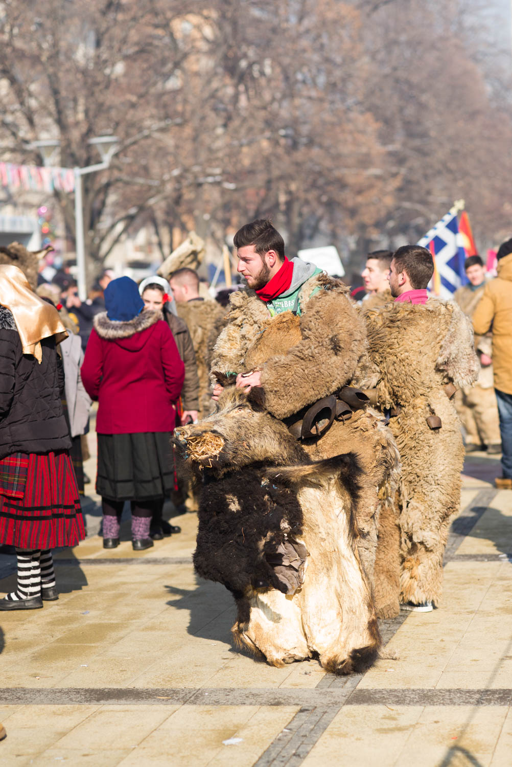 Surva, Pernik 2018