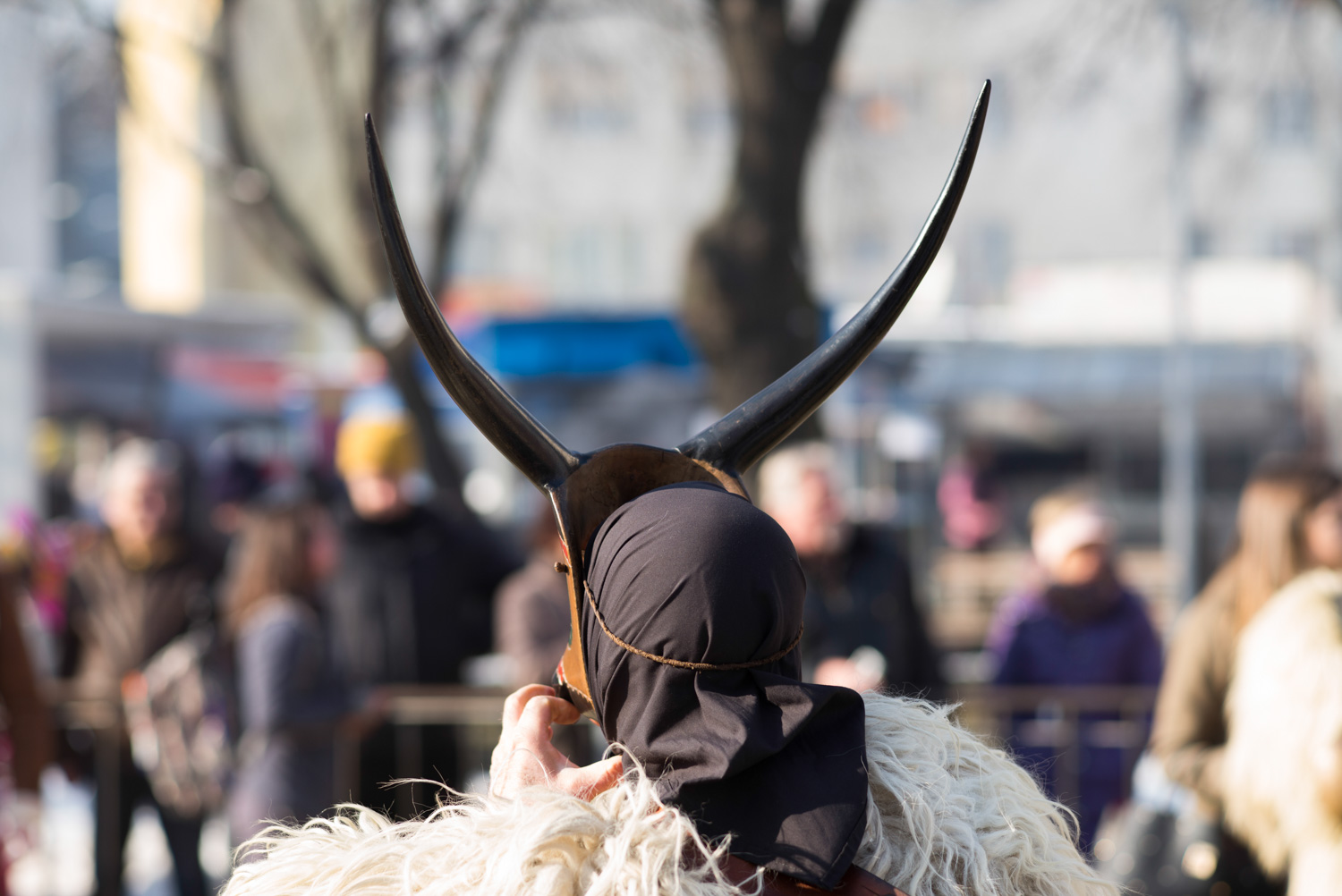 Surva, Pernik 2018