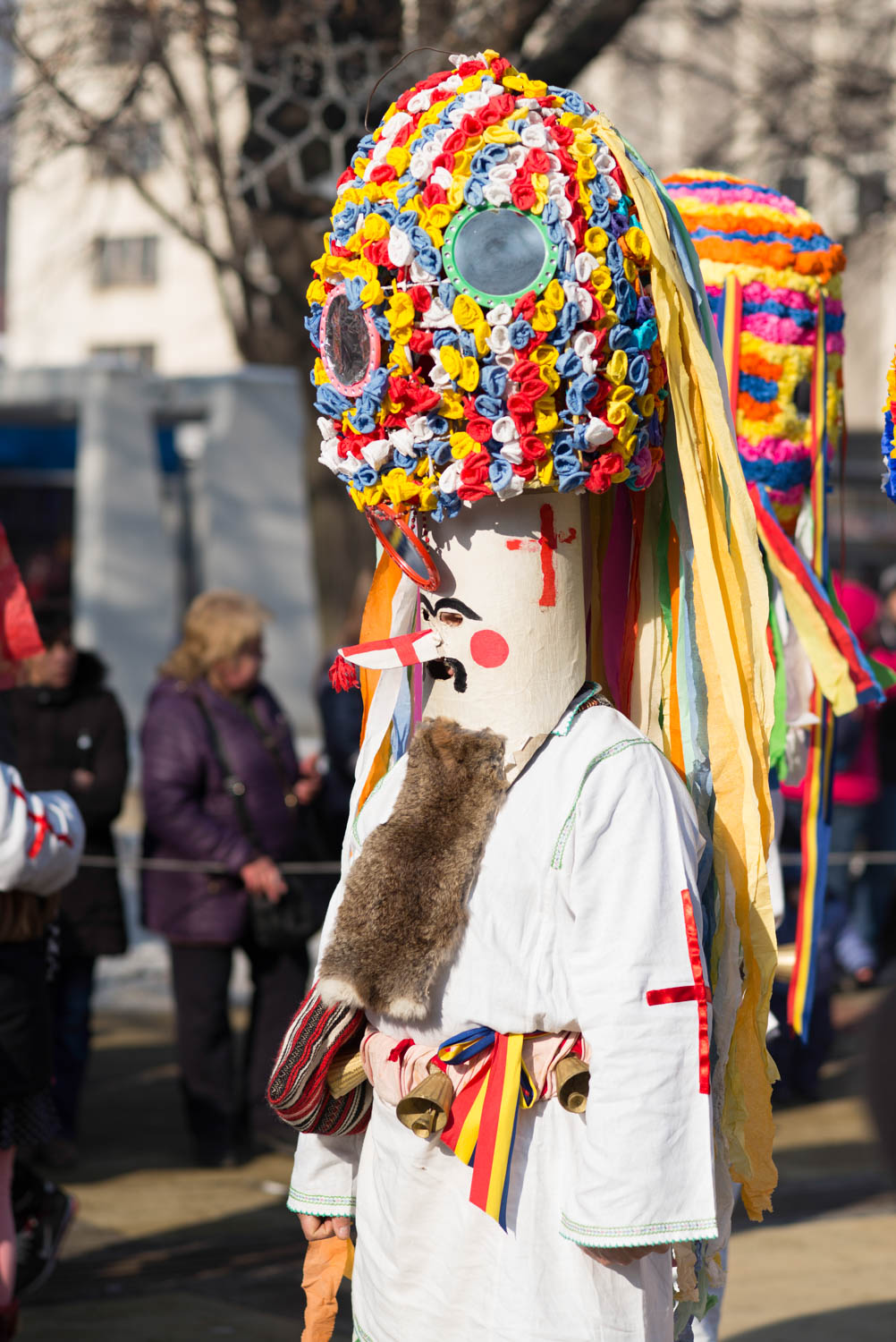 Surva, Pernik 2018