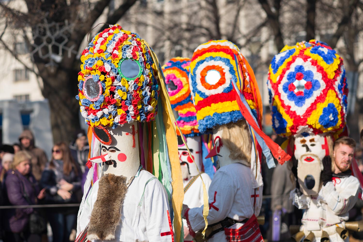 Surva, Pernik 2018