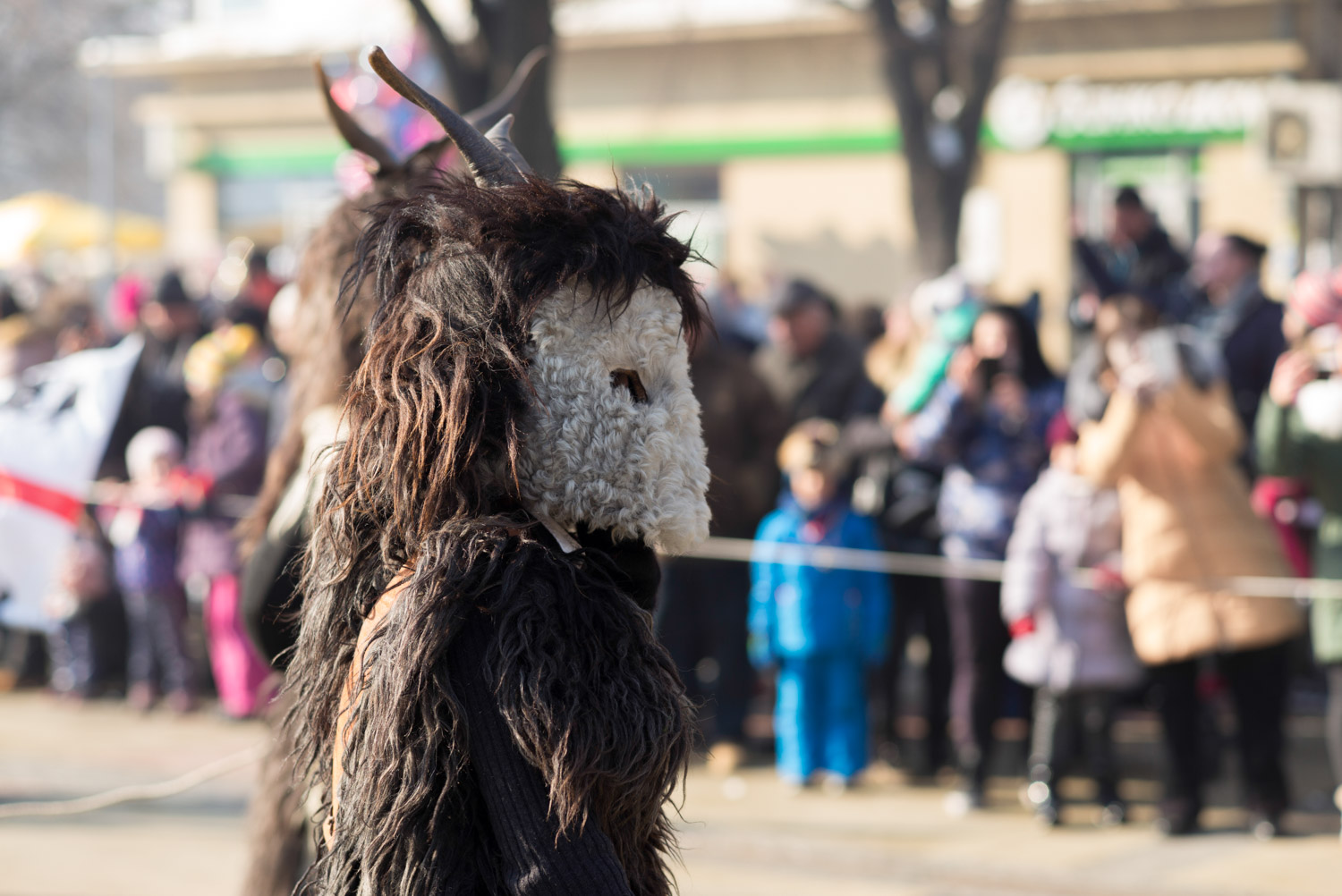 Surva, Pernik 2018