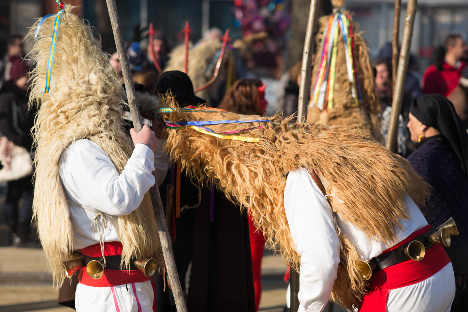 Surva, Pernik 2018