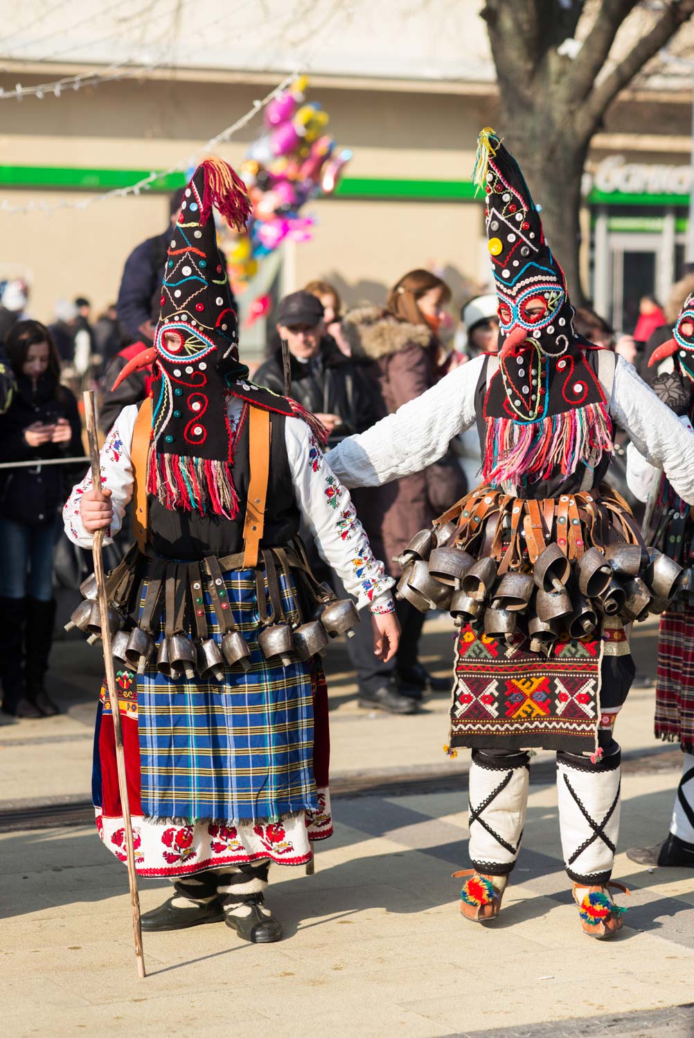 Surva, Pernik 2018