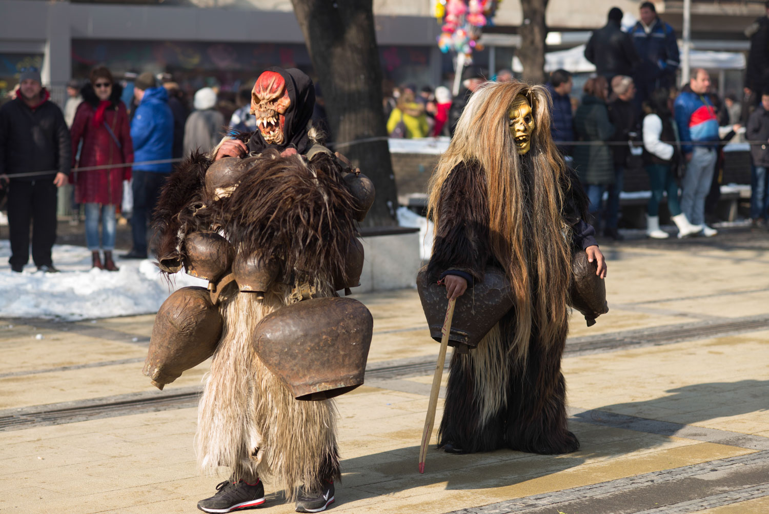 Surva, Pernik 2018