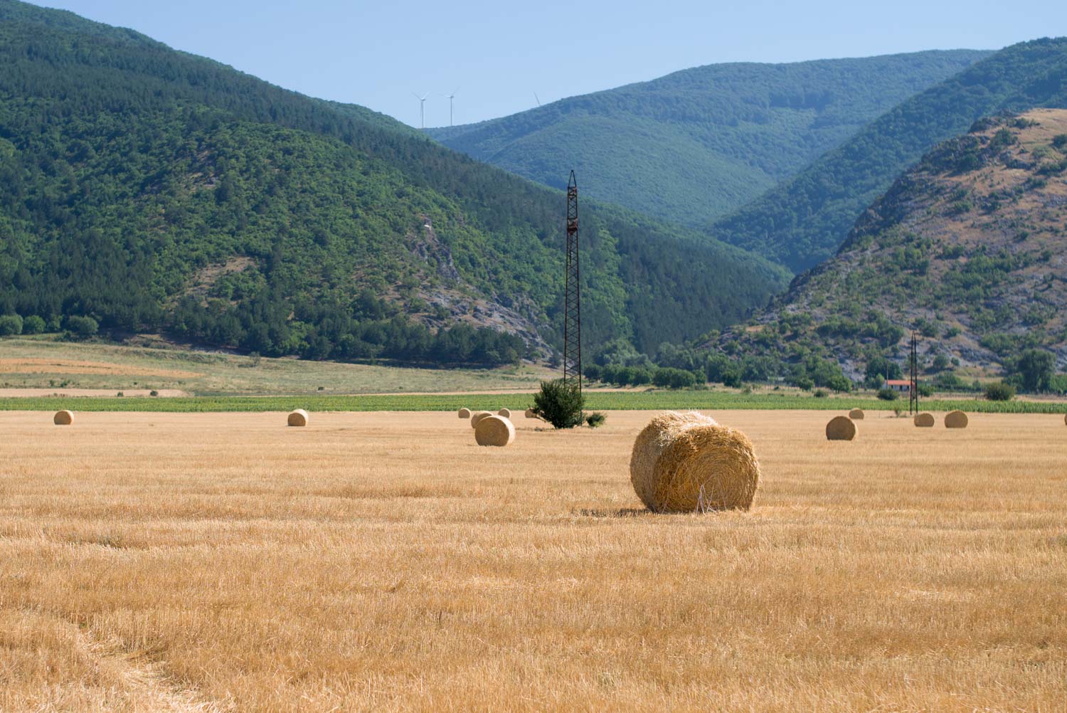 At the fields in autumn