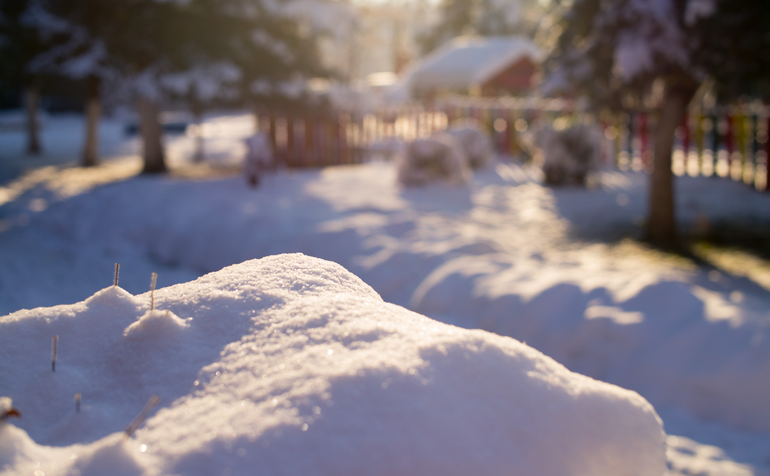 Morning sun over snow