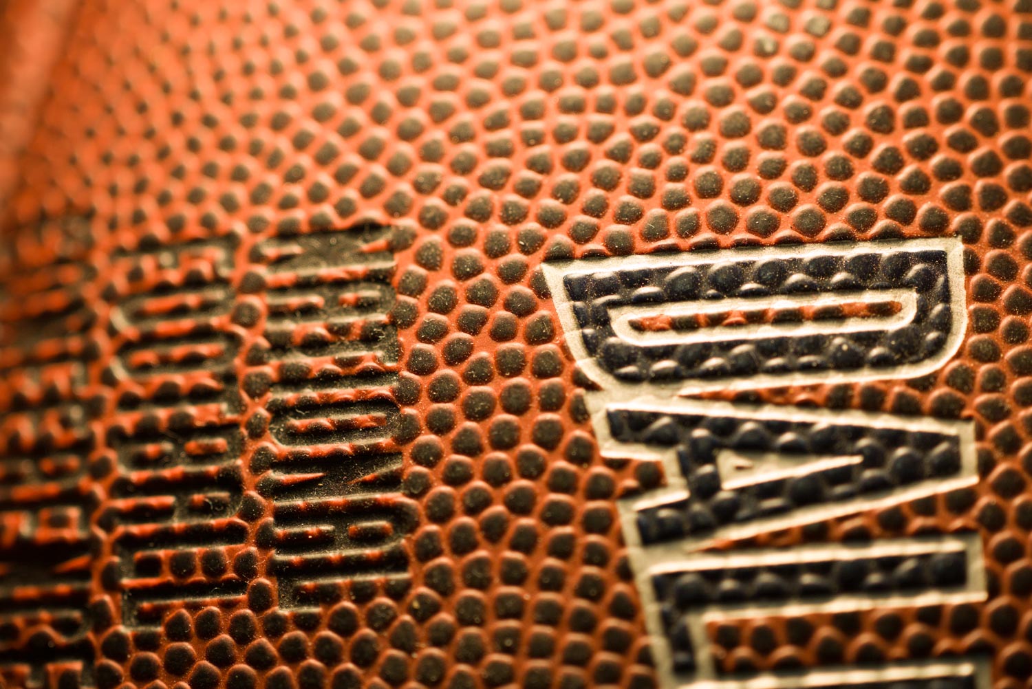 Leica Elmarit-R 100mm f2.8 APO Macro at 1:2 magnification