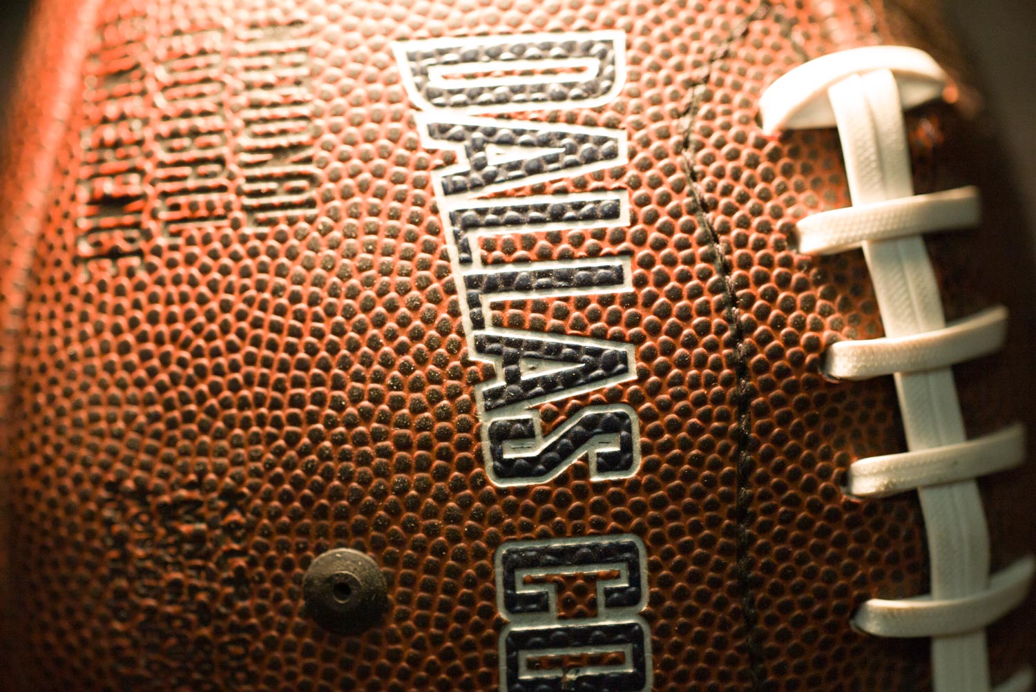 Leica Elmarit-R 100mm f2.8 APO Macro at about 1:5 magnificaton