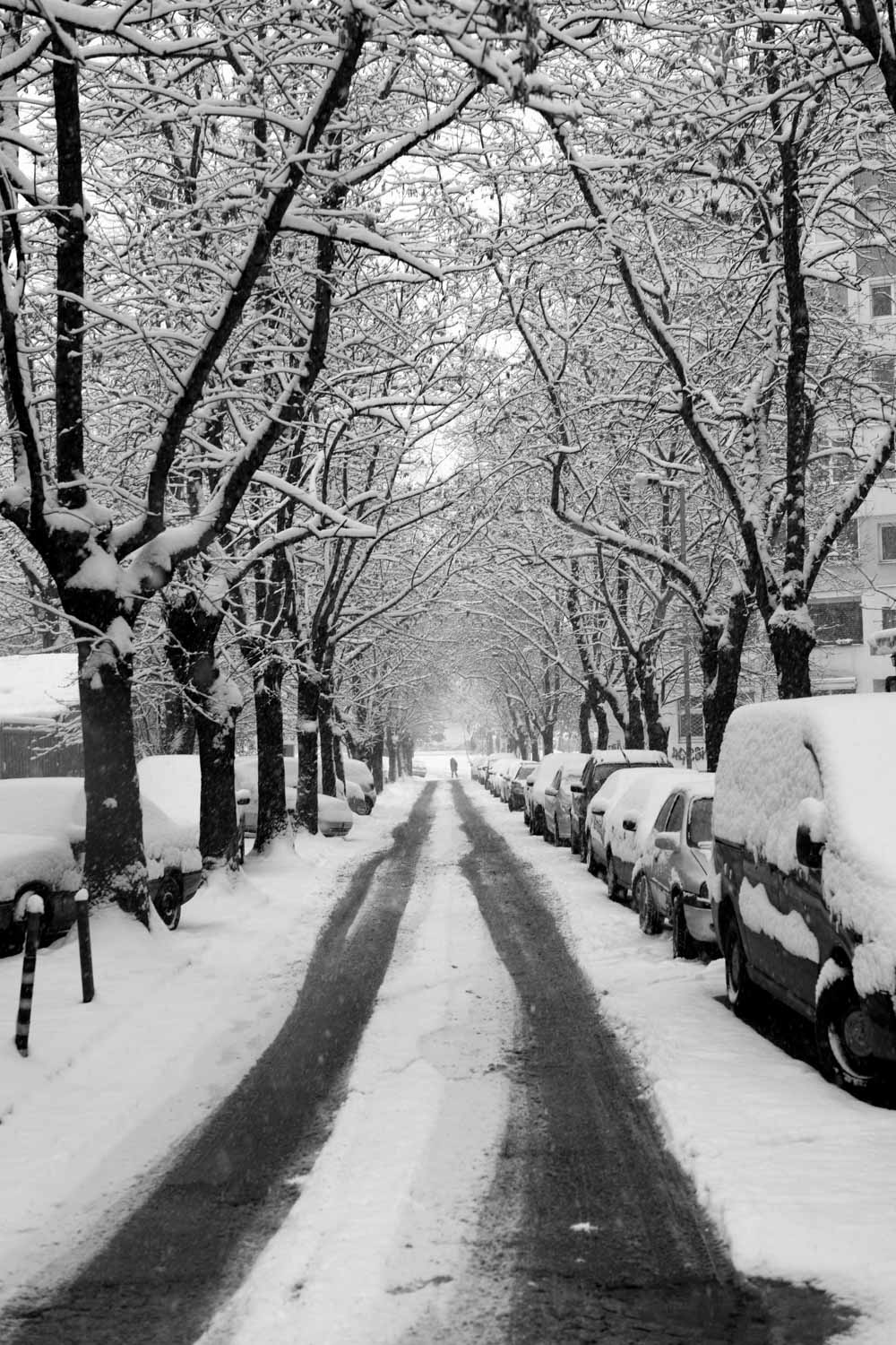 high contrast streets